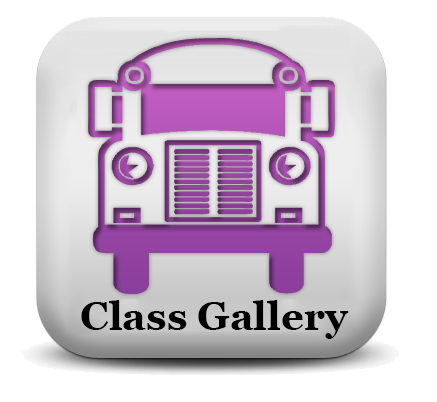 purple bus class gallery.jpg