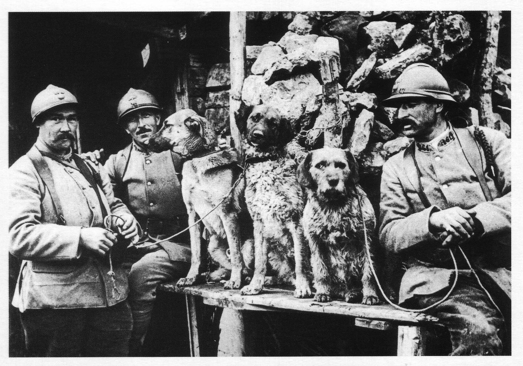 French trench dogs 1918.jpg